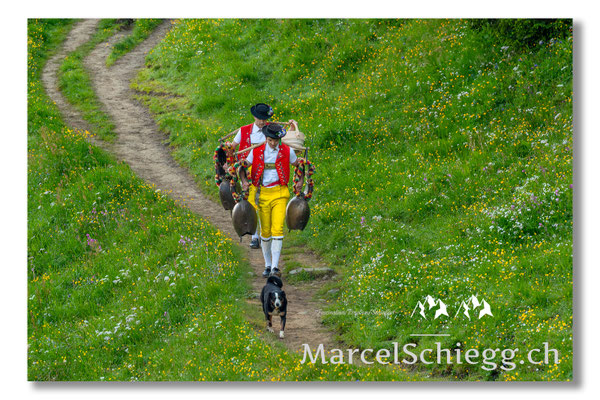 Marcel Schiegg Fotografie, Tradition, Brauchtum, Alpfahrt, Oeberefahre, Appenzell, Appenzellerland, Öberefahre, Alpstein