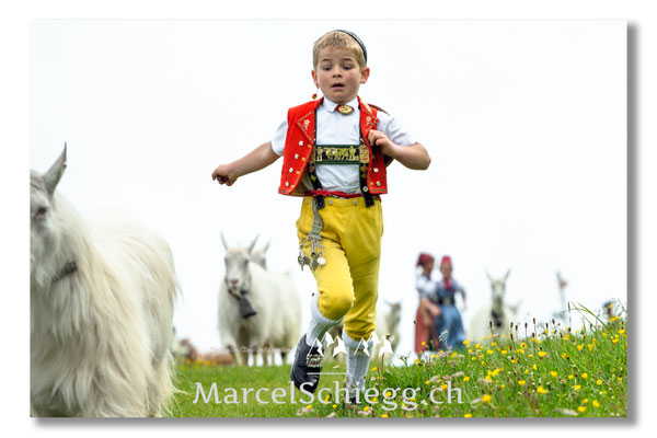 Marcel Schiegg Fotografie, Tradition, Brauchtum, Alpfahrt, Oeberefahre, Appenzell, Appenzellerland, Öberefahre, Alpstein