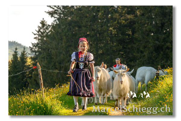 Öberefahre/Alpfahrt Art.-Nr. 20MS5-1173