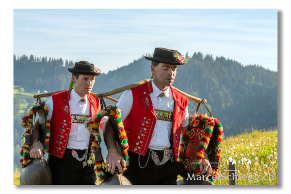 Marcel Schiegg Fotografie, Tradition, Brauchtum, Alpfahrt, Oeberefahre, Appenzell, Appenzellerland, Öberefahre, Alpstein