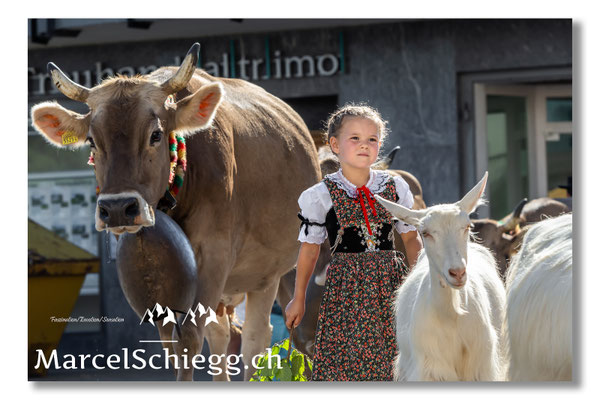 Marcel Schiegg Fotografie, Tradition, Brauchtum, Alpfahrt, Oeberefahre, Appenzell, Appenzellerland
