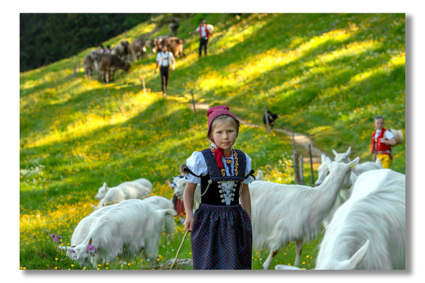 Marcel Schiegg Fotografie, Tradition, Brauchtum, Alpfahrt, Oeberefahre, Appenzell, Appenzellerland, Öberefahre, Alpstein