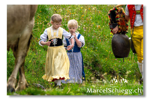 Marcel Schiegg Fotografie, Seealp, Alpstein, Tradition, Brauchtum, Alpfahrt, Oeberefahre, Appenzell