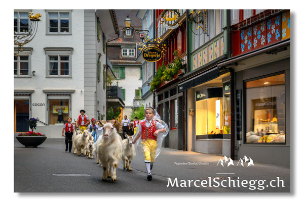 Marcel Schiegg Fotografie, Tradition, Brauchtum, Alpfahrt, Oeberefahre, Appenzell, Appenzellerland, Hauptgasse, Öberefahre