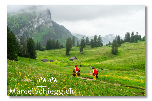 Marcel Schiegg Fotografie, Tradition, Brauchtum, Alpfahrt, Oeberefahre, Appenzell, Appenzellerland, Öberefahre, Alpstein, Alp Soll