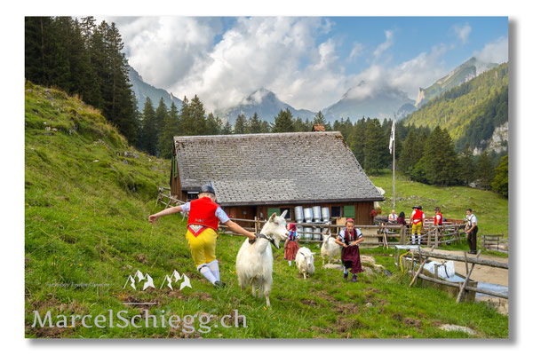 Marcel Schiegg Fotografie, Tradition, Brauchtum, Alpfahrt, Oeberefahre, Appenzell, Appenzellerland, Öberefahre, Alpstein, Alp Soll