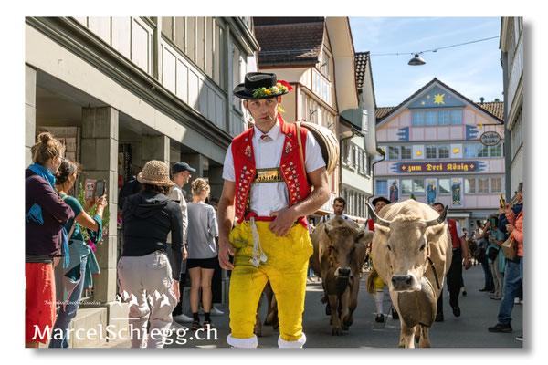 Marcel Schiegg Fotografie, Tradition, Brauchtum, Alpfahrt, Oeberefahre, Appenzell, Appenzellerland, Öberefahre