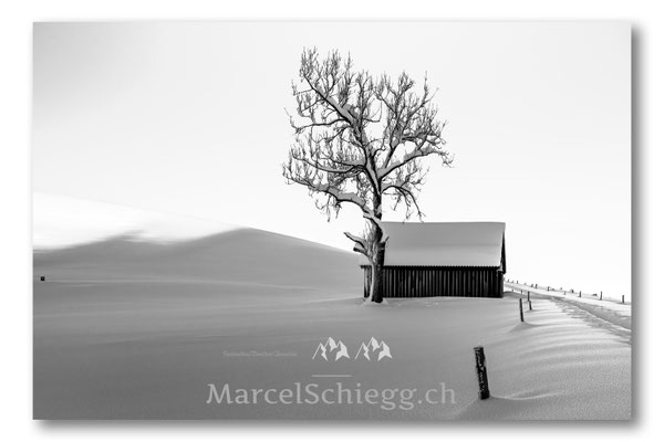 Alpstein/Winterimpressionen Art.-Nr. MZ7-5868-Januar