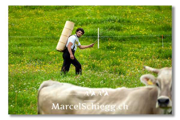 Marcel Schiegg Fotografie, Tradition, Brauchtum, Alpfahrt, Oeberefahre, Appenzell, Appenzellerland, Öberefahre, Alpstein