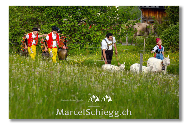 Marcel Schiegg Fotografie, Tradition, Brauchtum, Alpfahrt, Oeberefahre, Appenzell, Appenzellerland, Öberefahre, Alpstein