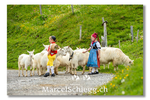 Marcel Schiegg Fotografie, Tradition, Brauchtum, Alpfahrt, Oeberefahre, Appenzell, Appenzellerland, Öberefahre, Alpstein