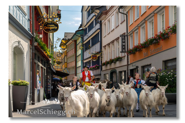 Marcel Schiegg Fotografie, Tradition, Brauchtum, Alpfahrt, Oeberefahre, Appenzell, Appenzellerland, Öberefahre, Hauptgasse