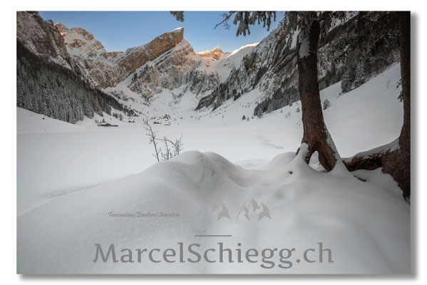 Seealpsee/Winterimpressionen Art.-Nr. MS8-0341