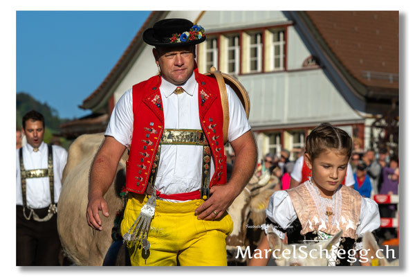 Vechschau/Viehschau Art.-Nr. MZ7-8275-Oktober