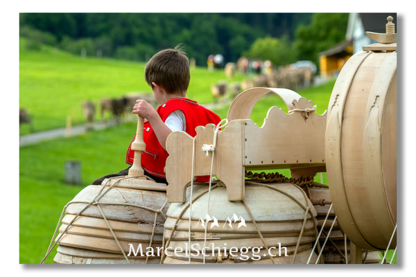 Marcel Schiegg Fotografie, Tradition, Brauchtum, Alpfahrt, Oeberefahre, Appenzell, Appenzellerland, Öberefahre, Lediwagen