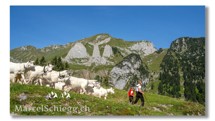 Marcel Schiegg Fotografie, Tradition, Brauchtum, Alpfahrt, Oeberefahre, Appenzell, Appenzellerland, Öberefahre, Alpstein, Dreifaltigkeit