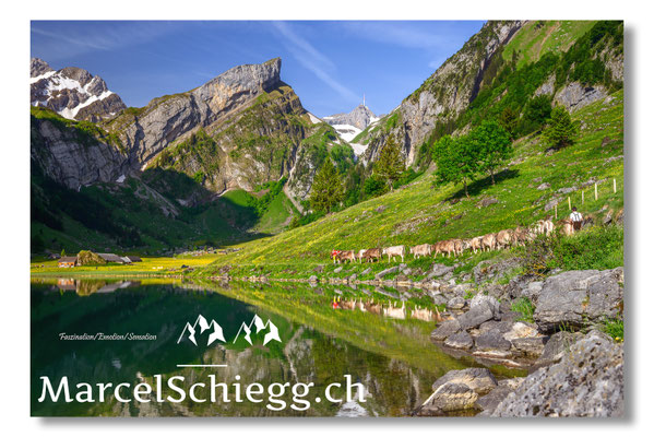 Marcel Schiegg, Seealpsee, Tradition, Brauchtum, Alpfahrt, Oeberefahre, Appenzell