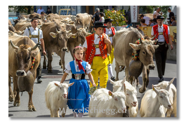 Marcel Schiegg Fotografie, Tradition, Brauchtum, Alpfahrt, Oeberefahre, Appenzell, Appenzellerland, Öberefahre