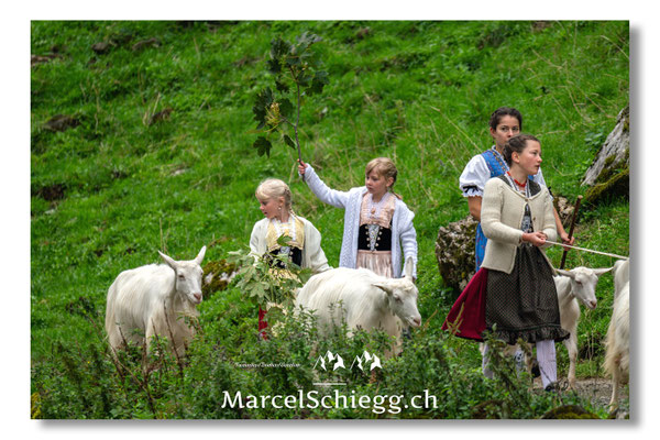 Marcel Schiegg Fotografie, Seealpsee, Alpstein, Tradition, Brauchtum, Alpfahrt, Oeberefahre, Appenzell