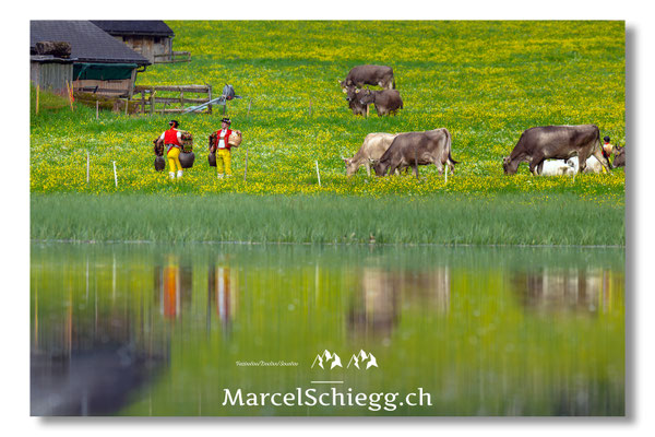 Marcel Schiegg Fotografie, Seealpsee, Alpstein, Tradition, Brauchtum, Alpfahrt, Oeberefahre, Appenzell