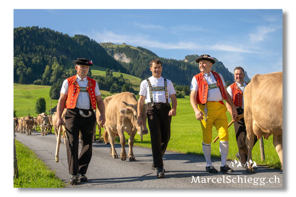 Marcel Schiegg Fotografie, Tradition, Brauchtum, Alpfahrt, Oeberefahre, Appenzell, Appenzellerland, Öberefahre, Alpstein