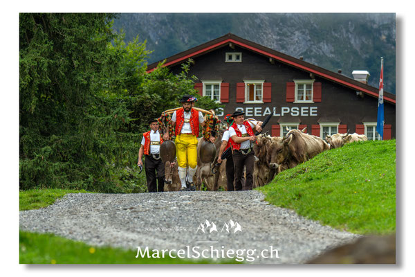 Öberefahre/Alpfahrt Art.-Nr. MZ8-8199/25