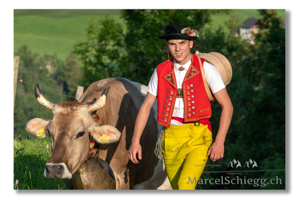 Marcel Schiegg Fotografie, Tradition, Brauchtum, Alpfahrt, Oeberefahre, Appenzell, Appenzellerland, Öberefahre, Alpstein