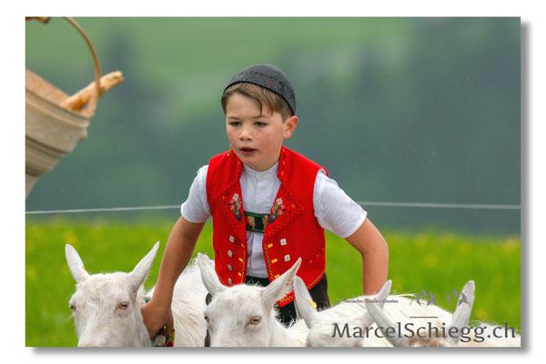 Marcel Schiegg Fotografie, Tradition, Brauchtum, Alpfahrt, Oeberefahre, Appenzell, Appenzellerland, Öberefahre
