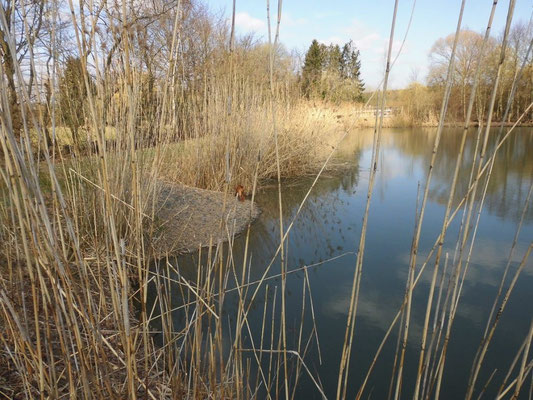 Hundewasser Hubertus Gießen