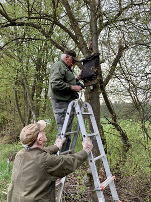 Anbringen des Fledermauskastens