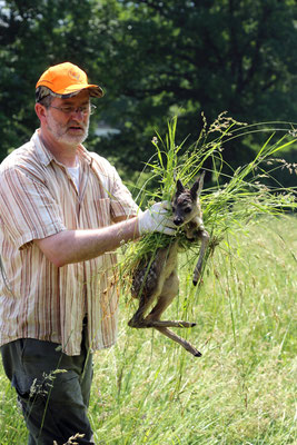 Mit Handschuhen und Grasbett: ein Jäger rettet ein Kitz aus einer Wiese. Quelle: DJV