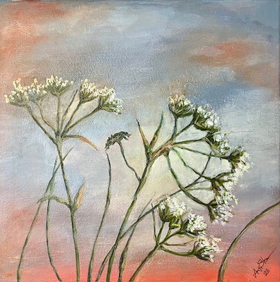 Wiesenkerbel 1 / Acryl auf Leinwand / 30 x 30
