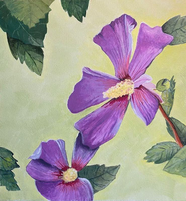 Hibiscus / Acryl auf Leinwand / 30 x 30
