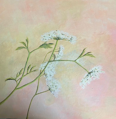 Wiesenkerbel 2 / Acryl auf Holz / 40 x 40