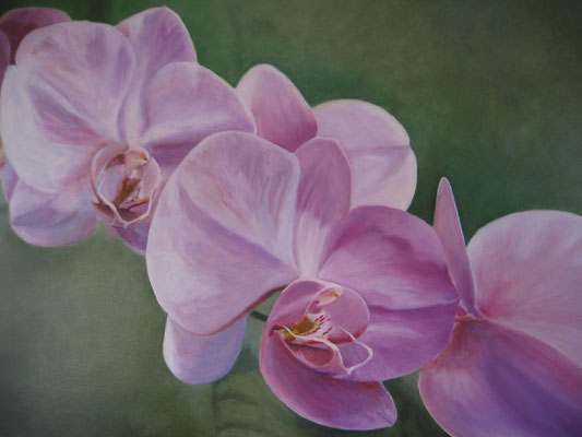 Lila Orchidee; 80x60 cm (linnen)