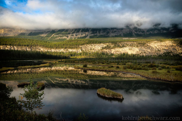 Guten Morgen im Jasper Nationalpark