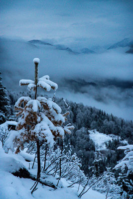 Blick über die Alpenwelt Karwendel