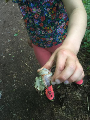 Beim Wandern traf Vanessa eine große Weinbergschnecke.