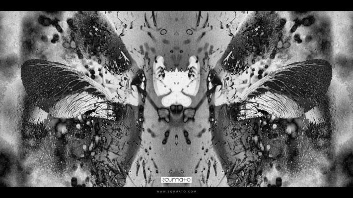 Flux Pavilion - Never See The Light - Music Video by Soumato / Rorschach Project / Capture
