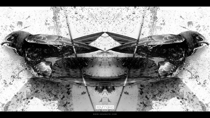 Flux Pavilion - Never See The Light - Music Video by Soumato / Rorschach Project / Capture