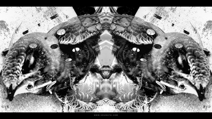Flux Pavilion - Never See The Light - Music Video by Soumato / Rorschach Project / Capture