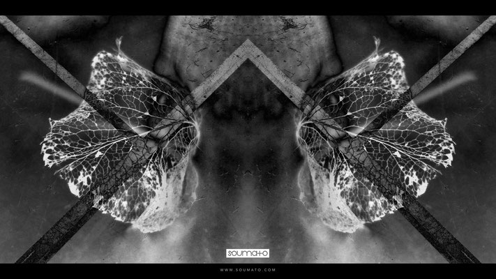 Flux Pavilion - Never See The Light - Music Video by Soumato / Rorschach Project / Capture