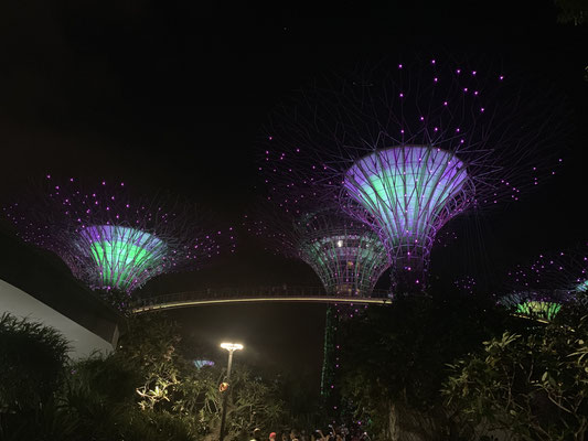 Supertrees - Rapssody - Singapur - travelumdiewelt.com