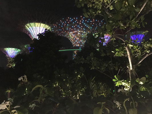 Supertrees bei Nacht - Gardens by the Bay - The Garden Rhapssody - travelumdiewelt.com