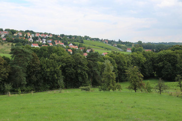 Blick vom Ferienhaus über die Wiesen in Richtung der Obst- und Weinanbaugebiete um Pesterwitz - Sommer