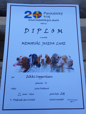 Bravo Eikki!