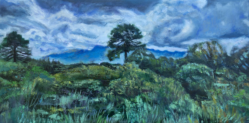 huile sur toile, 2024, 30x60cm