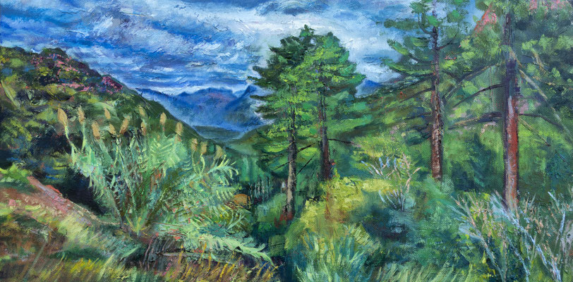huile sur toile, 2024, 30x60cm, vendu