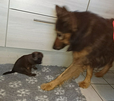 Hallo Papa..... 