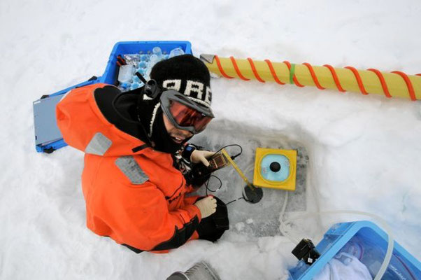 Sea ice sampling in Arctic 2011